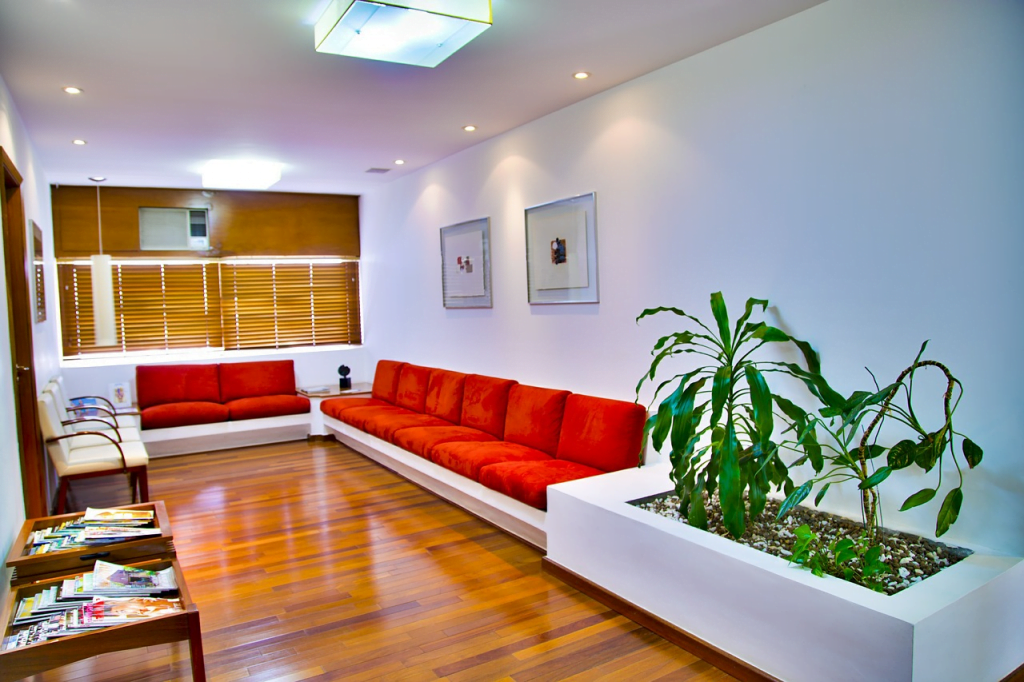 a living room with a plant and couches