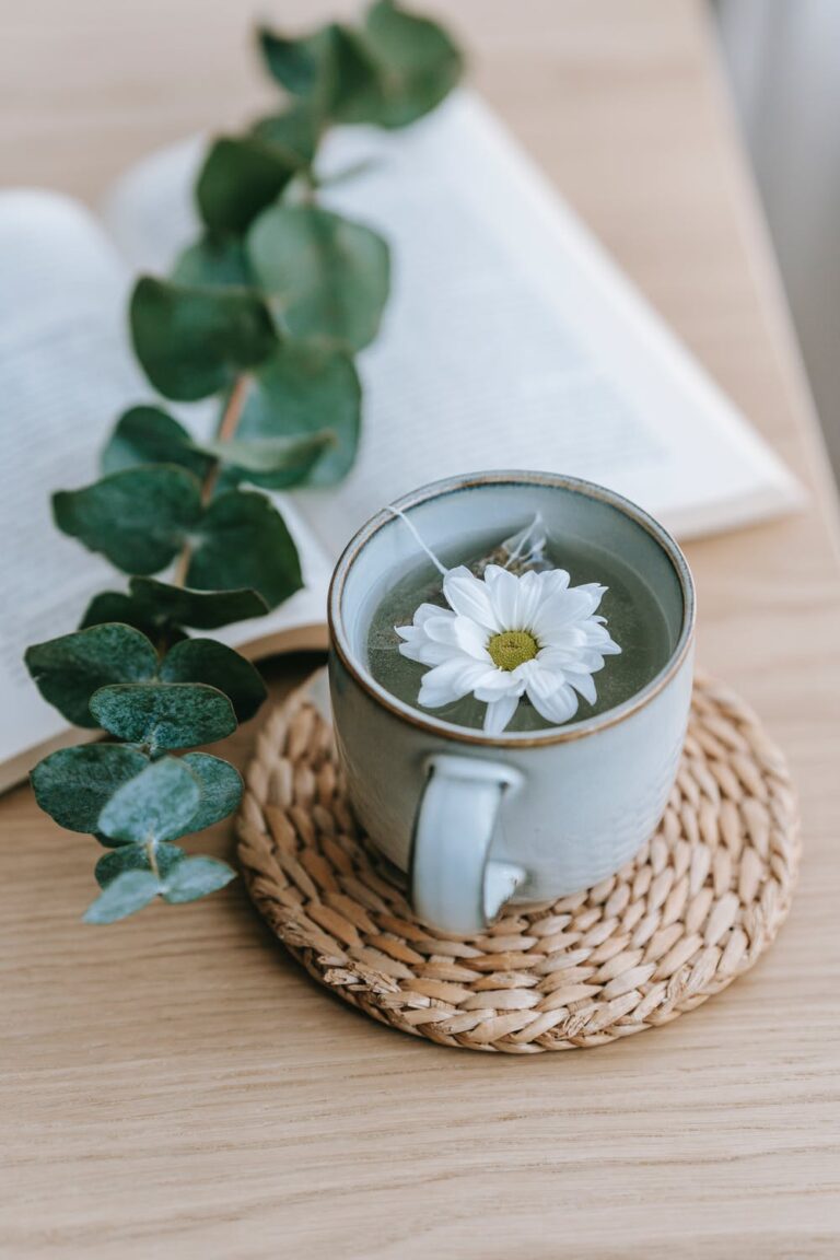 a small plant in a pot